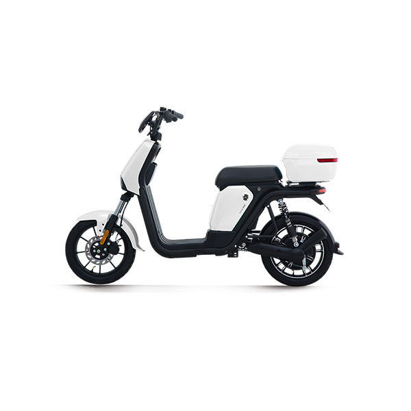 rainbow-50-sunra-white rainbow-50-sunra-white