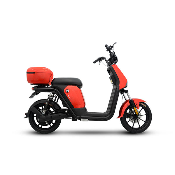 rainbow-50-sunra rainbow-50-sunra